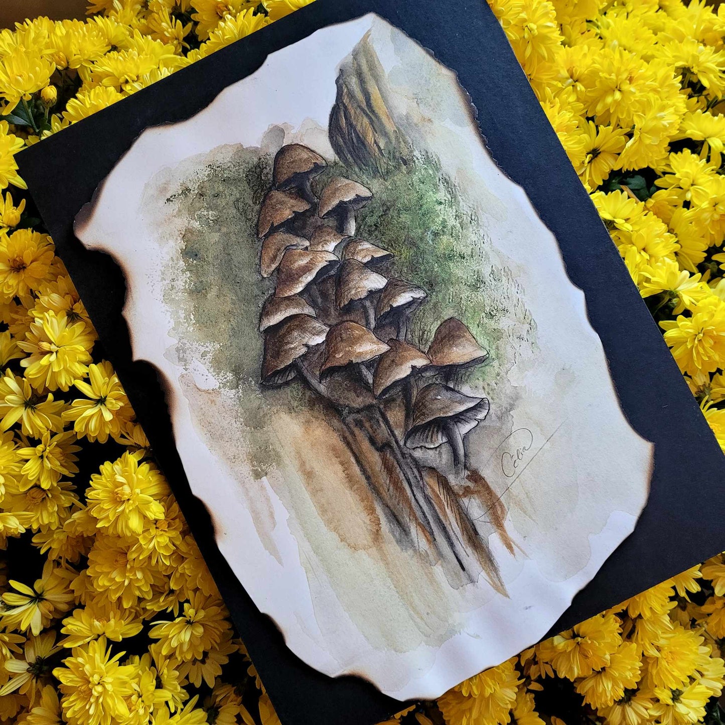 Aux portes du monde des fées