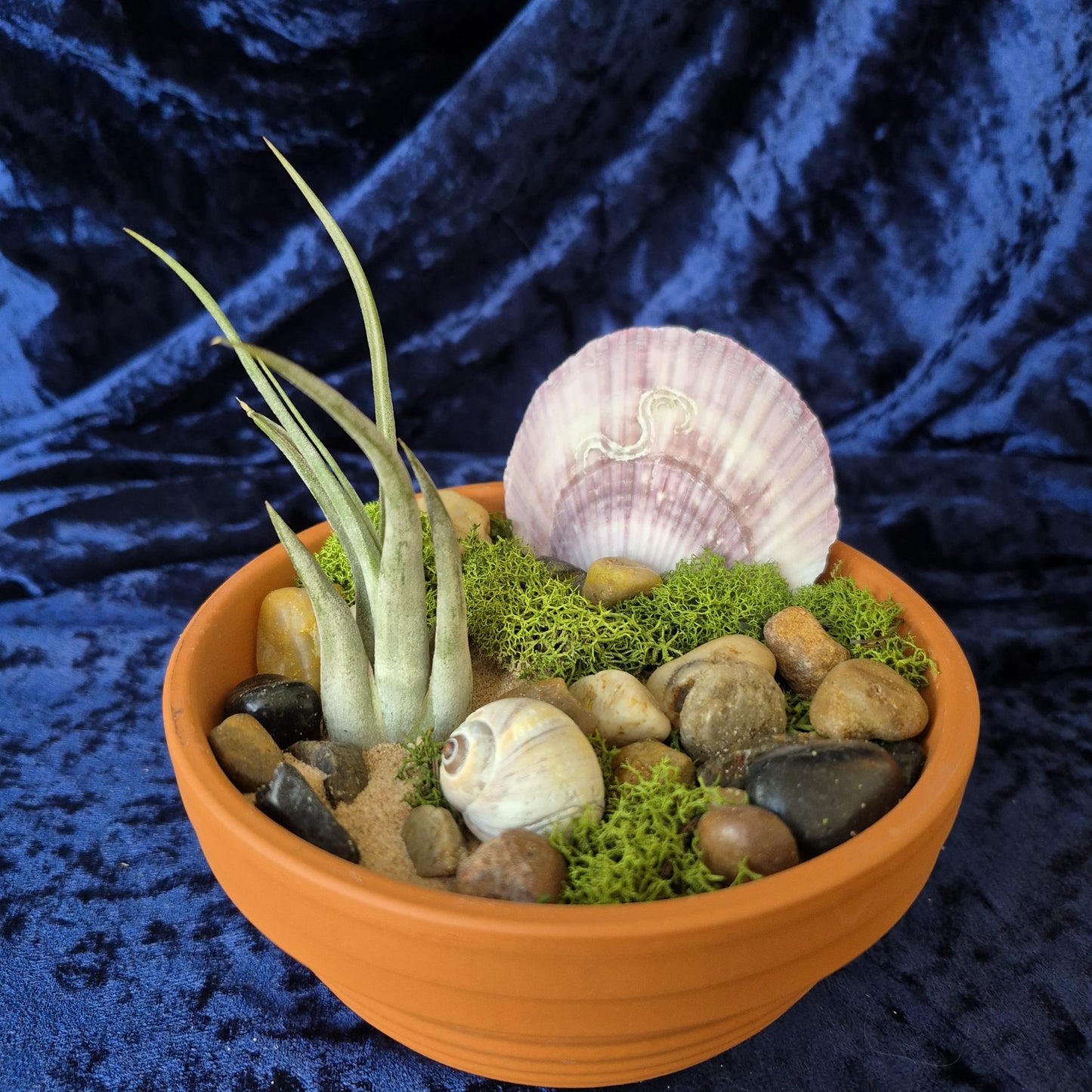 Jardin des Brumes - Abondance I