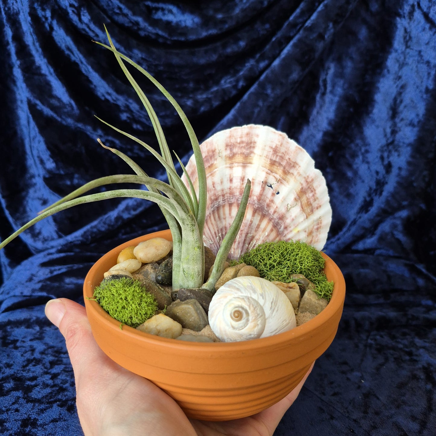 Jardin des Brumes - Abondance II