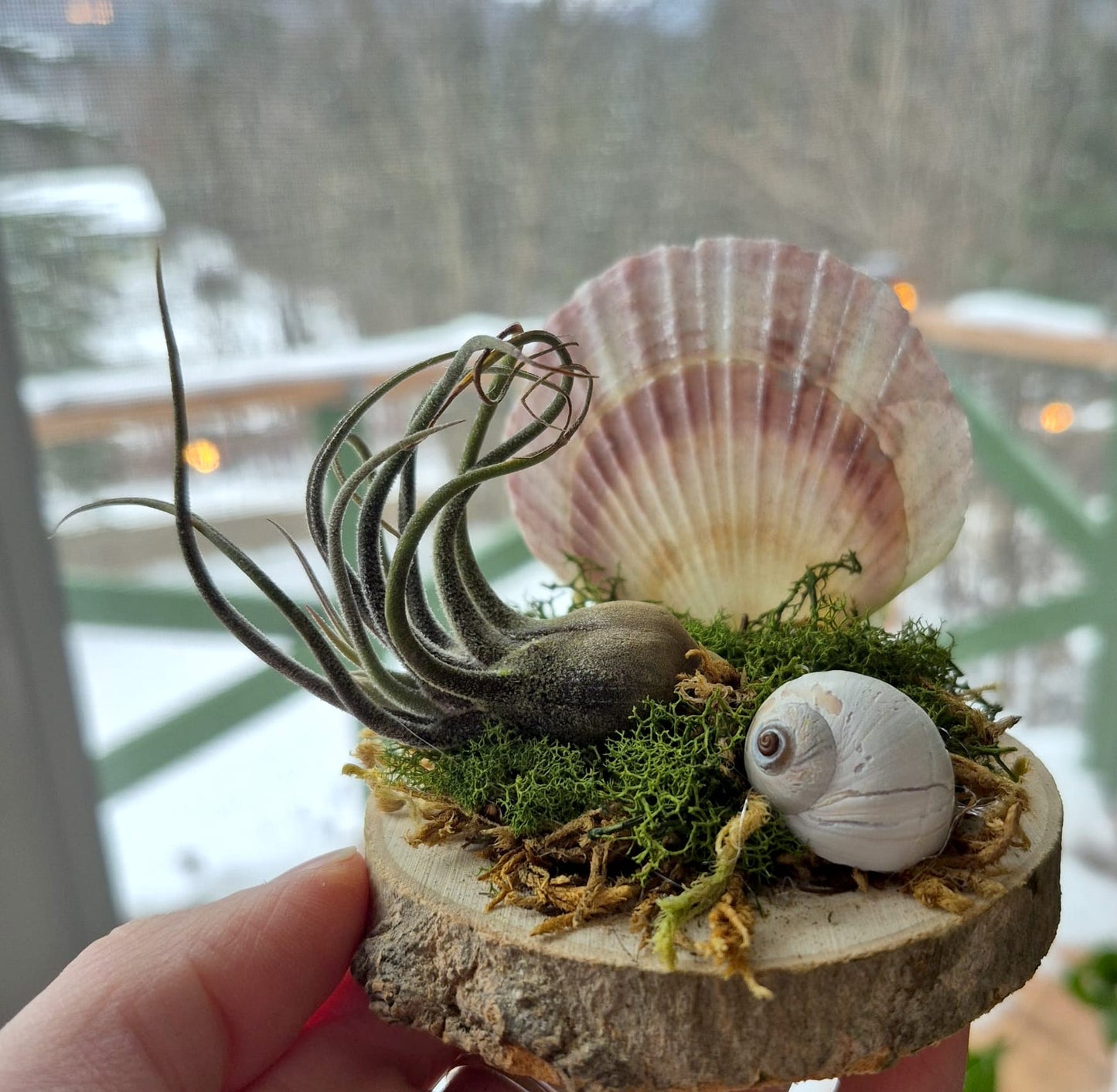 Jardin des Brumes - Rivage VIII