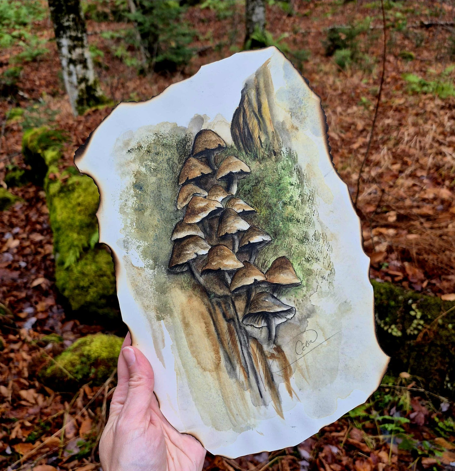 Aux portes du monde des fées