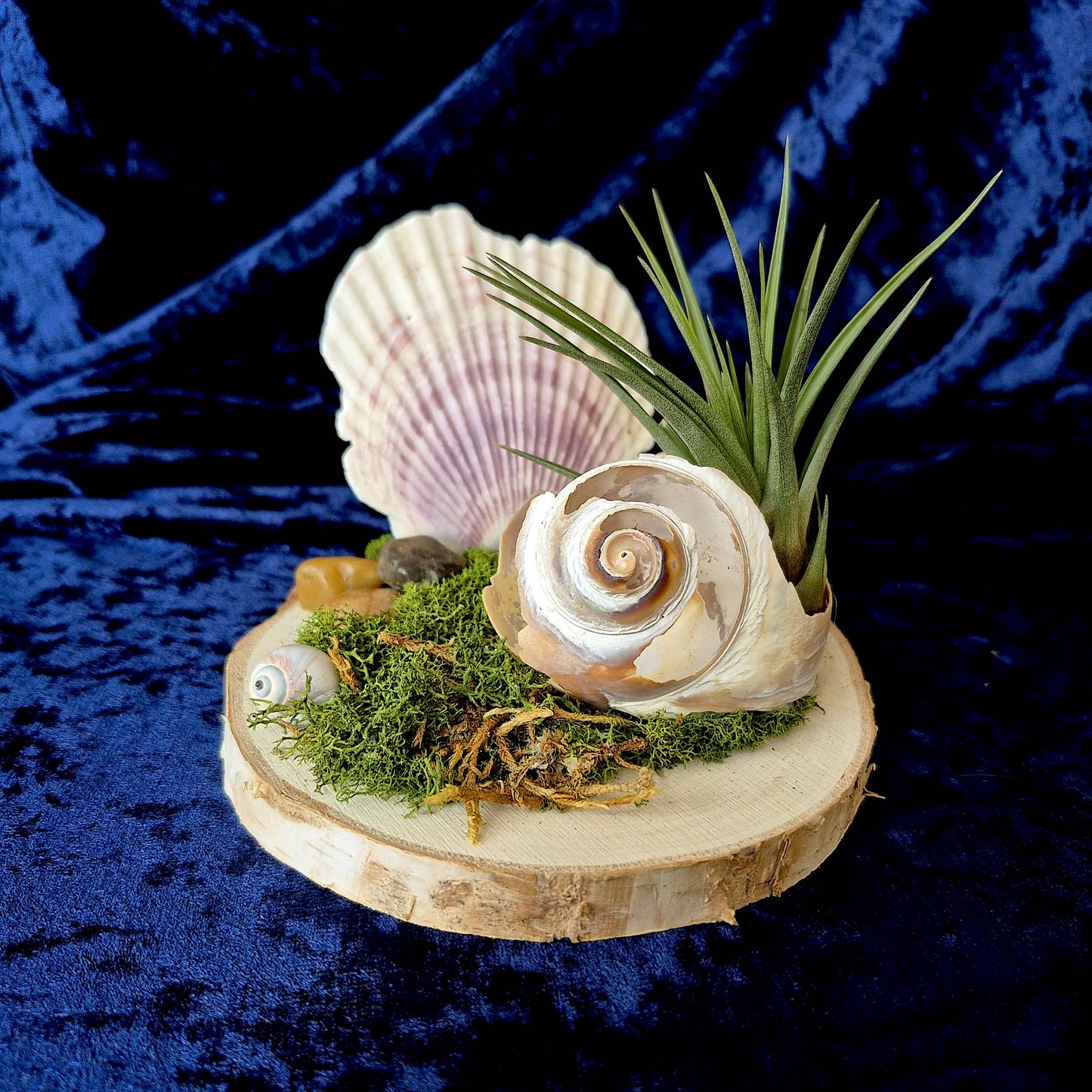 Jardin des Brumes - Rivage I