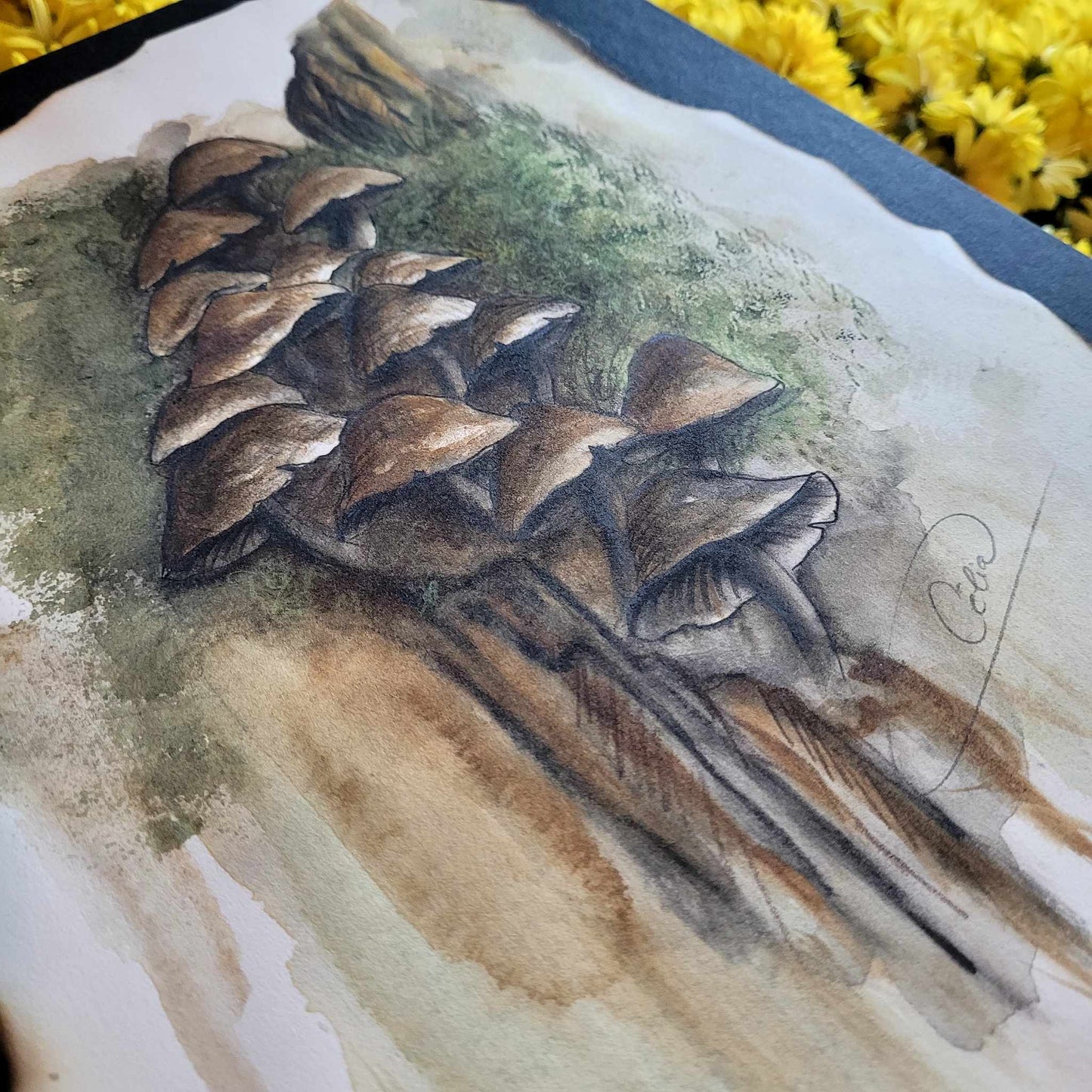 Aux portes du monde des fées