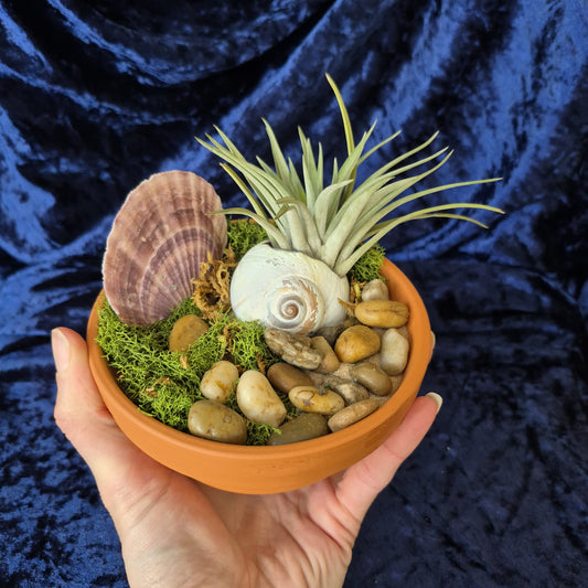 Jardin des Brumes - Abondance III